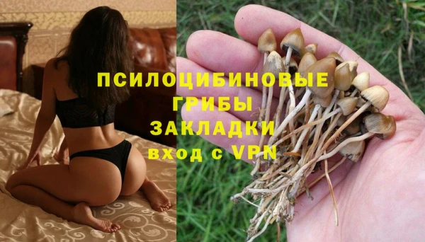 ешки Абаза