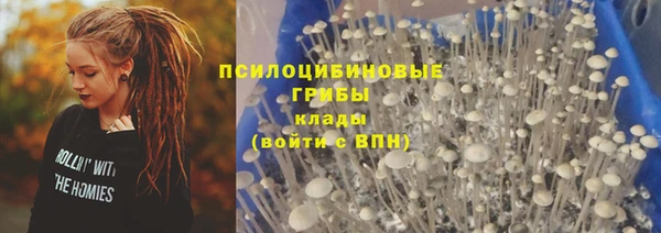 винт Абинск